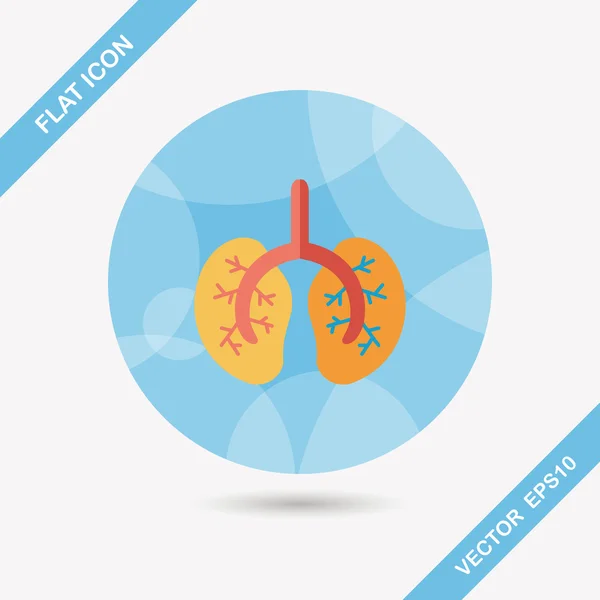 Lungs flat icon with long shadow — Stock Vector