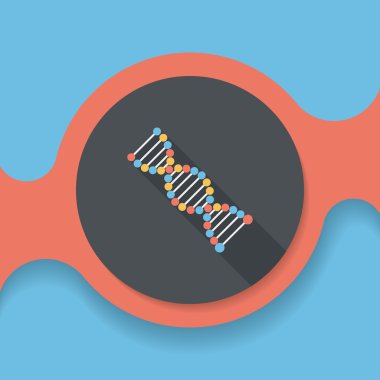 DNA uzun gölge düz simgesi