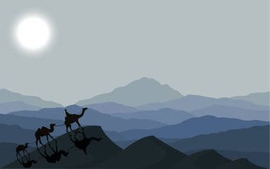 Kervan deve gece ile