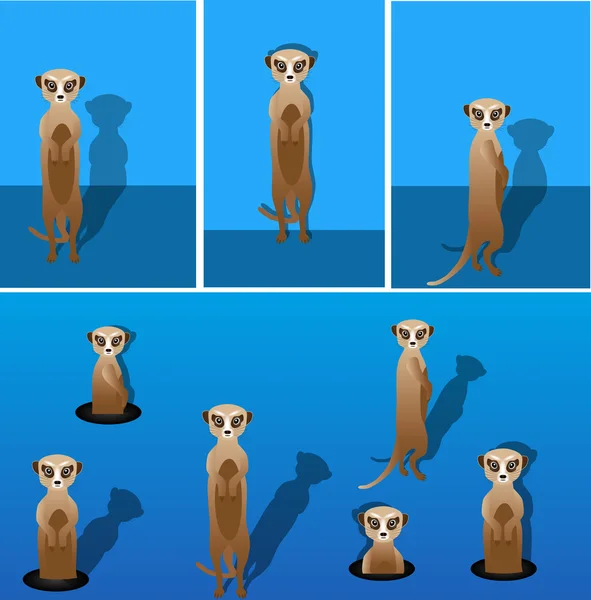 Meerkat. —  Vetores de Stock