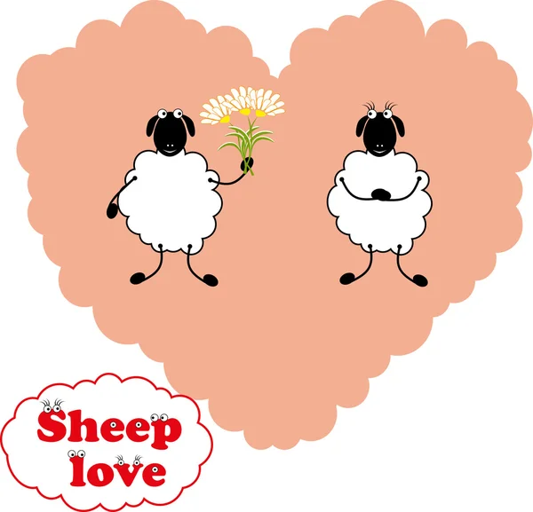 Amor de ovelha — Vetor de Stock
