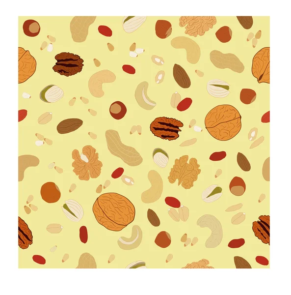 Modèle de noix — Image vectorielle