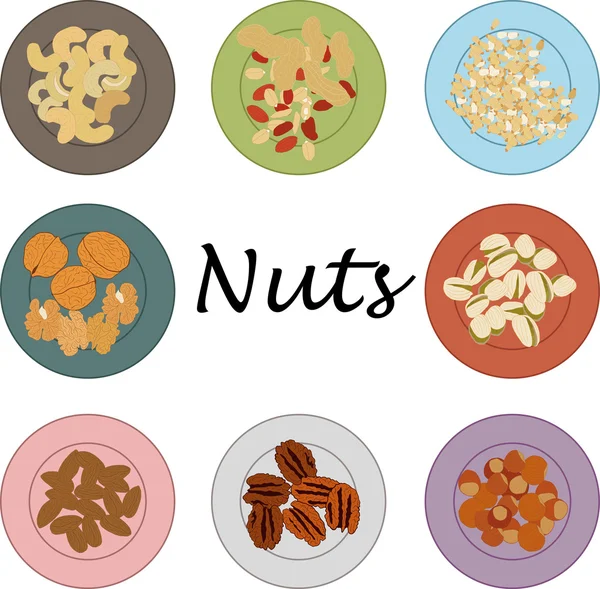 Nuts mix — Stock Vector