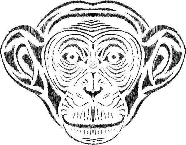 Chimpancé — Vector de stock