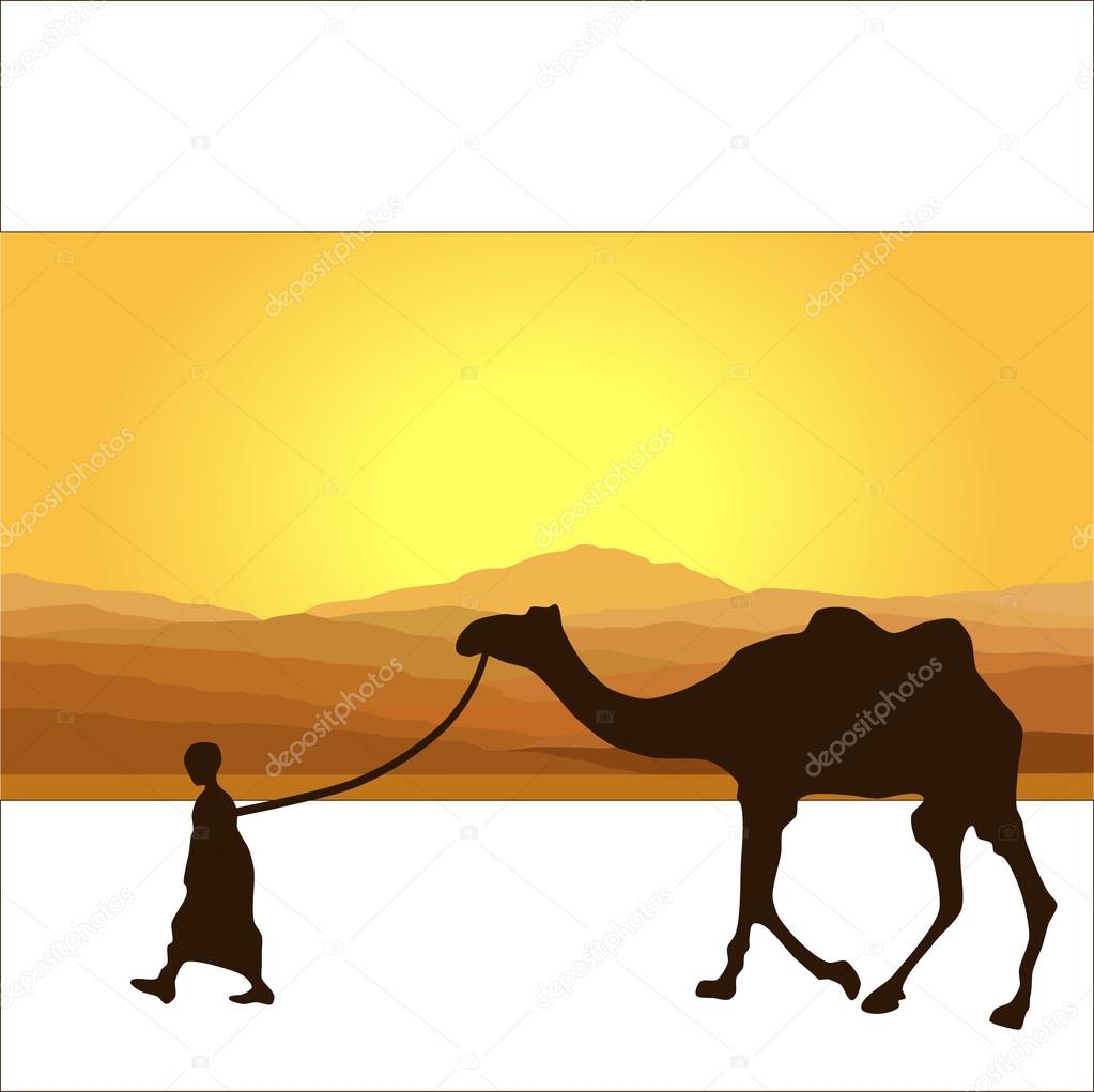 Caravan with camels in desert with mountains on background. Vector illustration