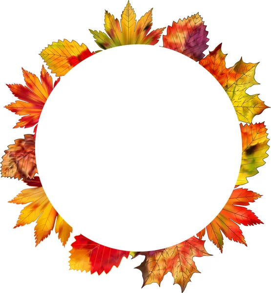 Een reeks van kleurrijke herfst bladeren op een witte achtergrond. — Stockvector