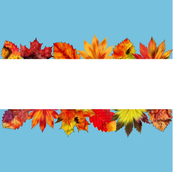 Un conjunto de coloridas hojas de otoño sobre un fondo en blanco . — Vector de stock