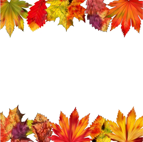 Un conjunto de coloridas hojas de otoño sobre un fondo blanco . — Vector de stock
