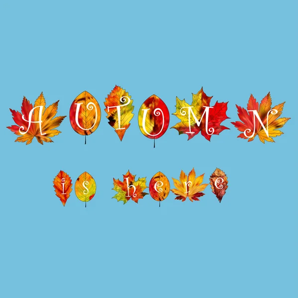 Een reeks van kleurrijke Herfstbladeren op een lege achtergrond. — Stockvector
