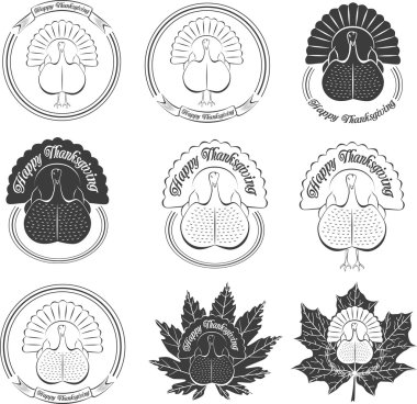 Mutlu Şükran günü kutlamaları için Türkiye'nin kuş güzel çizgi film