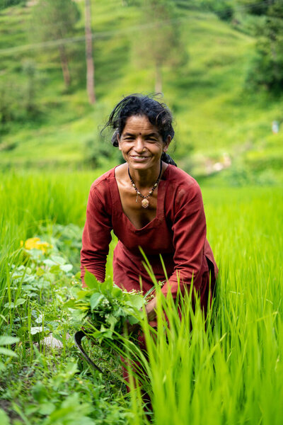 ALMORA, INDIA - november 6, 2020: portrait of an indian woman farmer standing in working in the green fields, smiling and looking into the camera.