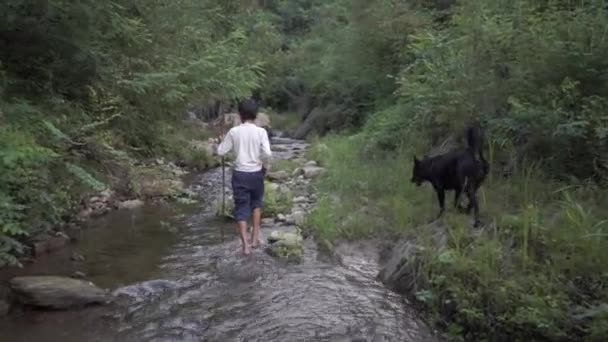 Niño Explorando Selva Mientras Camina Por Río — Vídeo de stock