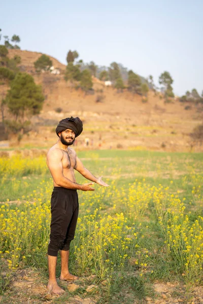 Genç Hintli çiftçi tarlalarda çalışıyor, ekin yetiştiriyor. Çiftçilik ve tarım kavramı.