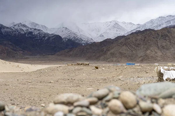 Krajobraz Ladakh Góry Śniegu Zdobyte Sezonie Zimowym Ladakh Turystyka Wzmocniona — Zdjęcie stockowe