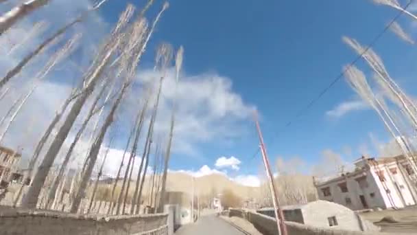 Pov Egy Biciklis Lovagló Lovaglás Szabad Utakon Ladakh — Stock videók