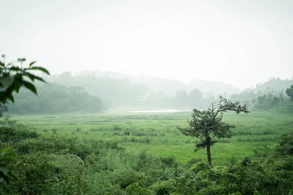 Une Vue Panoramique Paysage Capturé Aube Avec Brouillard — Photo