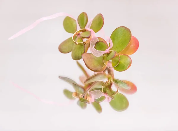 Anillos Boda Ramo Flores Verdes Que Ofrecen Bonito Reflejo Espejo — Foto de Stock