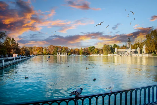 Madrid 'deki Retiro Park' taki Alfonso XII anıtının önündeki güzel göl manzarası
