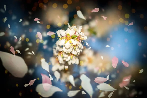 Tavaszi Virágok Zöld Levelek Szép Hideg Színek Háttér — Stock Fotó