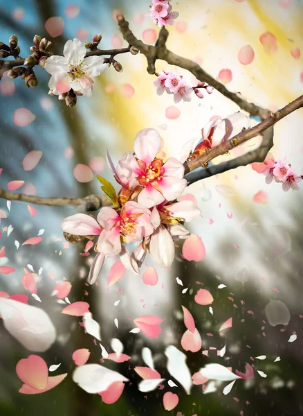 Tavaszi Virágok Zöld Levelek Szép Meleg Színek Háttér — Stock Fotó