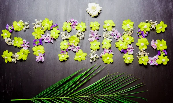 Primavera Escrita Con Flores Amarillas Púrpuras Rosadas Blancas Sobre Fondo — Foto de Stock