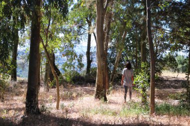 Ücretsiz yürüyen kadın