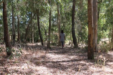 Ücretsiz yürüyen kadın