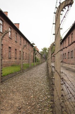 Auschwitz-birkenau kampına