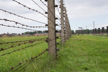 Auschwitz-birkenau kampına