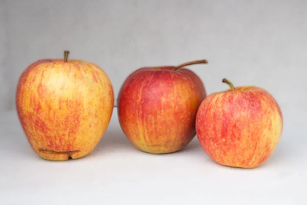 Koninklijke apple — Stockfoto