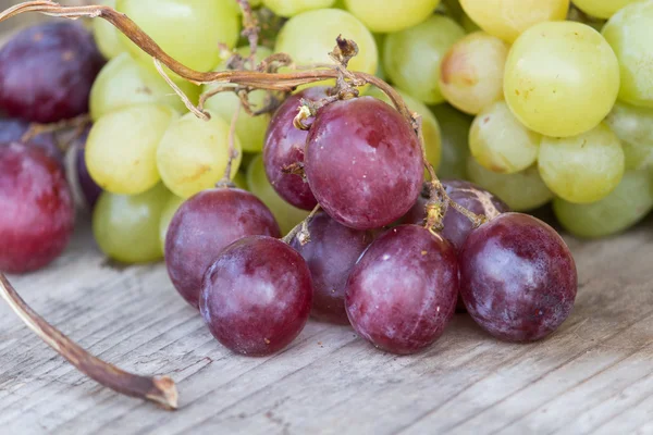 Uvas — Fotografia de Stock