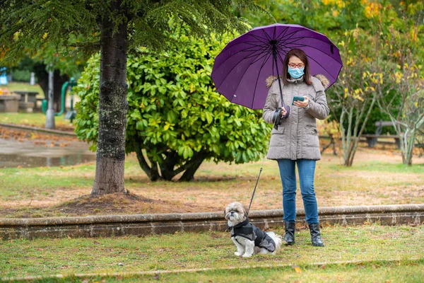 Parkta şemsiyeli bir kadın köpeğiyle yağmurlukta telefona bakıyor.