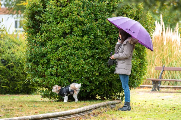 Parkta şemsiyeli bir kadın köpeğiyle yağmurlukta telefonda konuşuyor.