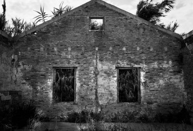 Pencereden süzülen bitkilerle dolu eski taş cephe