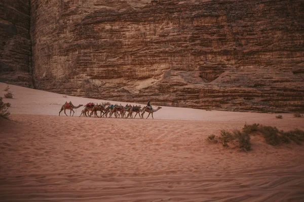 People Camels Pass Sand Dunes Desert Which Surrounded Stone Rocks — Stock Photo, Image