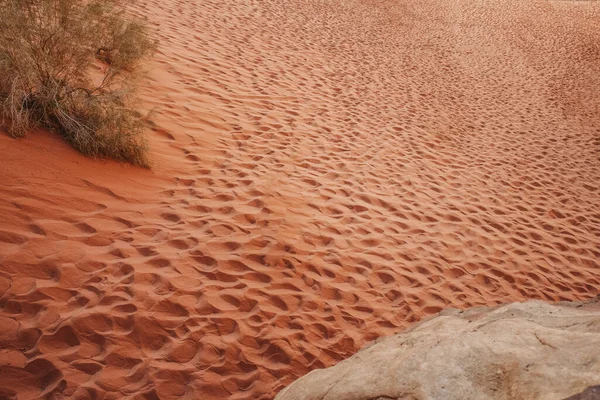 Wadi Rum Desert Jordania Arena Rosa Fina Está Este Desierto — Foto de Stock