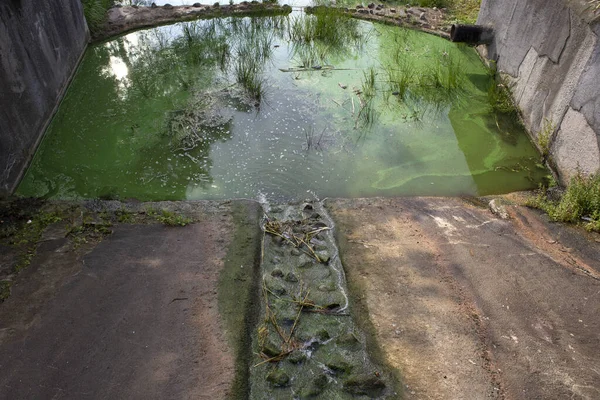 Riolering Stroming Van Het Water Stopt Rivier Waarvan Oever Bedekt — Stockfoto