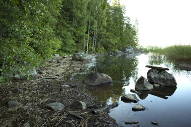 Taş şelale - köpüklü su, taşları nehrin vadilerinde, ormanın yakınında, bitki ve hayvanların olduğu yerde.