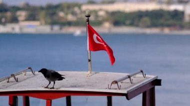 Türk Bayrağı ve teknedeki bir karga, İstanbul 'un Boğazı' ndan Topkapı Sarayı 'na doğru yol alıyorlar.