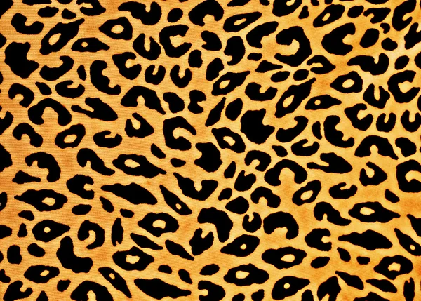 Stampa leopardata Foto Stock