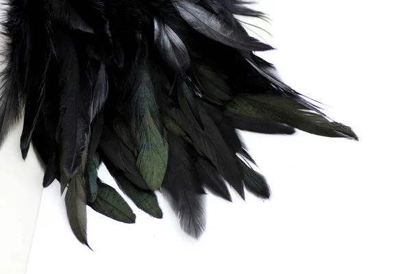 Feather Background — Stock Photo, Image