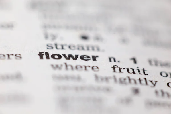 Macro Close Old Russian Dictionary Page Word Flower — стоковое фото