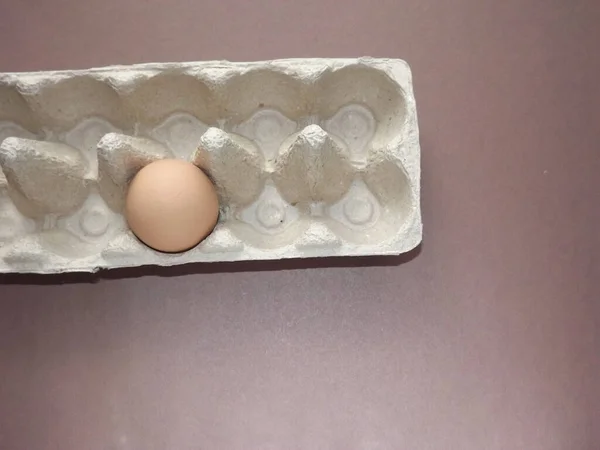 beige boiled egg in an egg box on a brown background