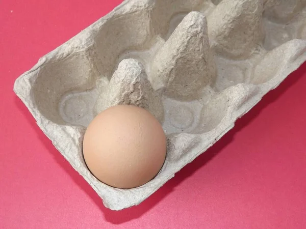 beige boiled egg in an egg box on a red background