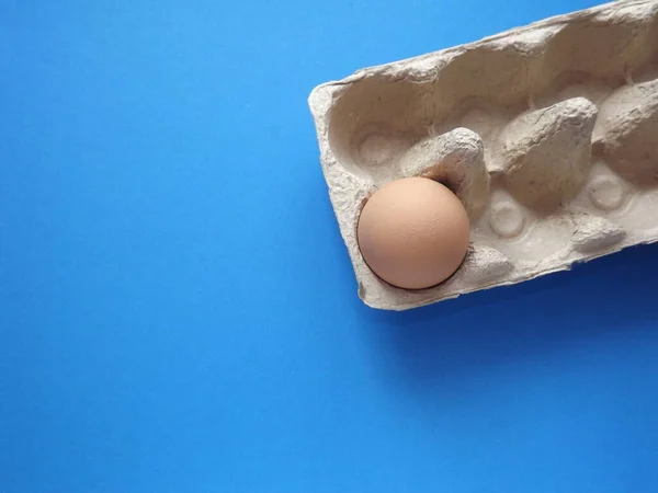 beige boiled egg in an egg box on a blue background