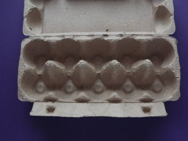 mor arkaplanda bej yumurta kutusu boş