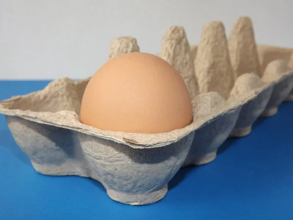 beige boiled egg in an egg box on a blue background