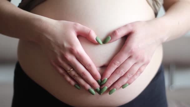 Mulher Grávida Segura Mãos Estômago Forma Coração Conceito Uma Futura — Vídeo de Stock