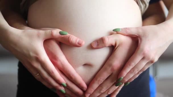 Mujer Embarazada Futuro Padre Están Acariciando Una Gran Barriga Concepto — Vídeos de Stock