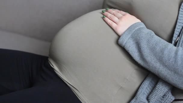 Una Joven Europea Embarazada Acaricia Gran Barriga Concepto Una Madre — Vídeos de Stock